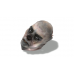 Dead Island Severed Head Ornament